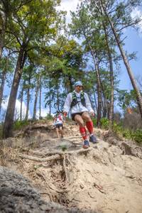 BIB: 
                            <button type="button" onclick="openModal(15932387)" class="btn btn-primary btn-sm float-right btn-popup" data-toggle="modal" data-target=".modal-high-quality">
                        <i class="fas fa-shopping-cart"></i> Add to Cart
                    </button>
                                            <button type="button" onclick="isThisMe(15932387, true)" class="btn btn-success btn-sm float-right btn-popup btn-isme hidden" data-toggle="tooltip" data-placement="bottom" title="นี่คือรูปของคุณใช่ไหม คลิกที่นี่เพื่อเอาเข้าอัลบั้ม">
                        <i class="fas fa-plus"></i> Add to album
                    </button>
                    <button type="button" onclick="isThisMe(15932387, false)" class="btn btn-warning btn-sm float-right btn-popup btn-isnotme hidden">
                        <i class="fas fa-ban"></i> Remove from album
                    </button>